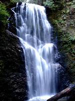 Berry Creek Falls, San Francisco Bay Area, California