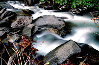 Smoky Mountains National Park, Tennesse