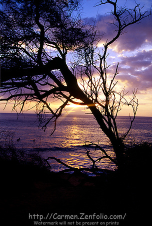 Maui Sunset, Hawaii
