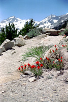 Trail to Mono Pass, Eastern Sierra, California