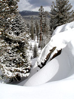 Lake Tahoe and Sierra Mountains